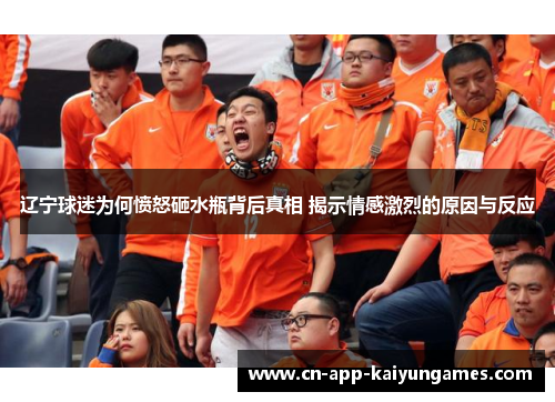 辽宁球迷为何愤怒砸水瓶背后真相 揭示情感激烈的原因与反应