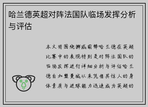 哈兰德英超对阵法国队临场发挥分析与评估