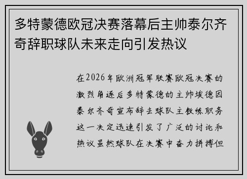 多特蒙德欧冠决赛落幕后主帅泰尔齐奇辞职球队未来走向引发热议
