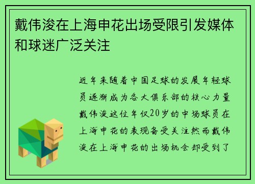戴伟浚在上海申花出场受限引发媒体和球迷广泛关注 戴伟浚在上海申花出场受限引发媒体和球迷广泛关注